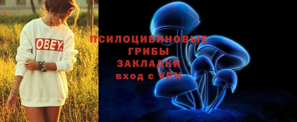 твердый Абаза