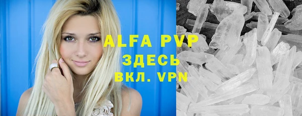 твердый Абаза