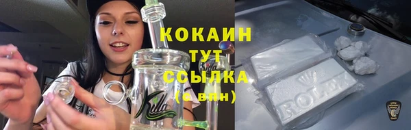 дживик Абинск