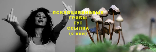 дживик Абинск