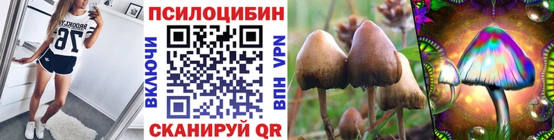 Псилоцибиновые грибы Magic Shrooms  мега онион  Киренск 